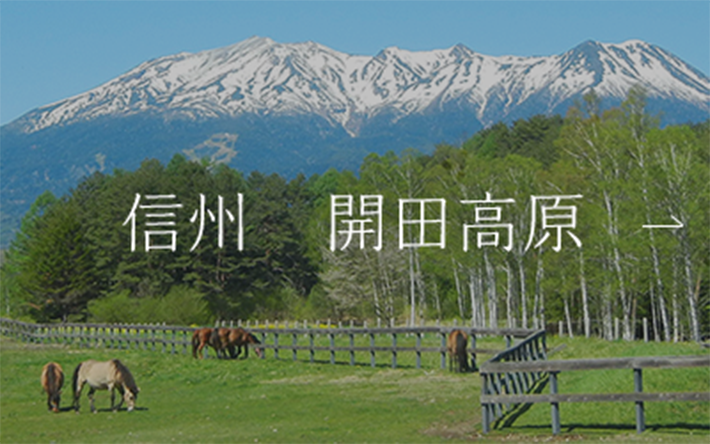 信州　開田高原