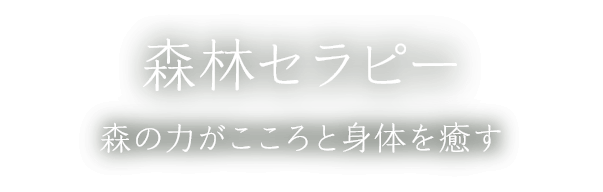森林セラピー 森の力がこころと身体を癒す