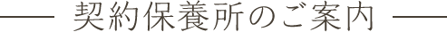 癒しの森の宿のご案内